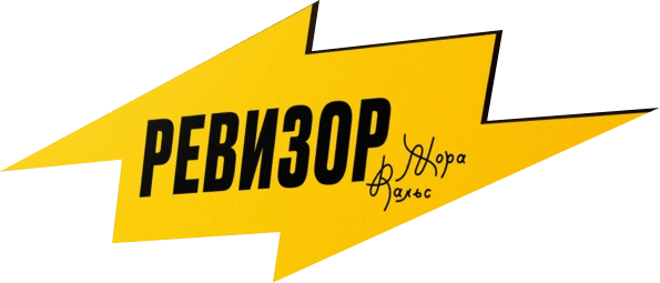 Ревизор Жора Вальс